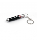 2 in 1 laser pointer